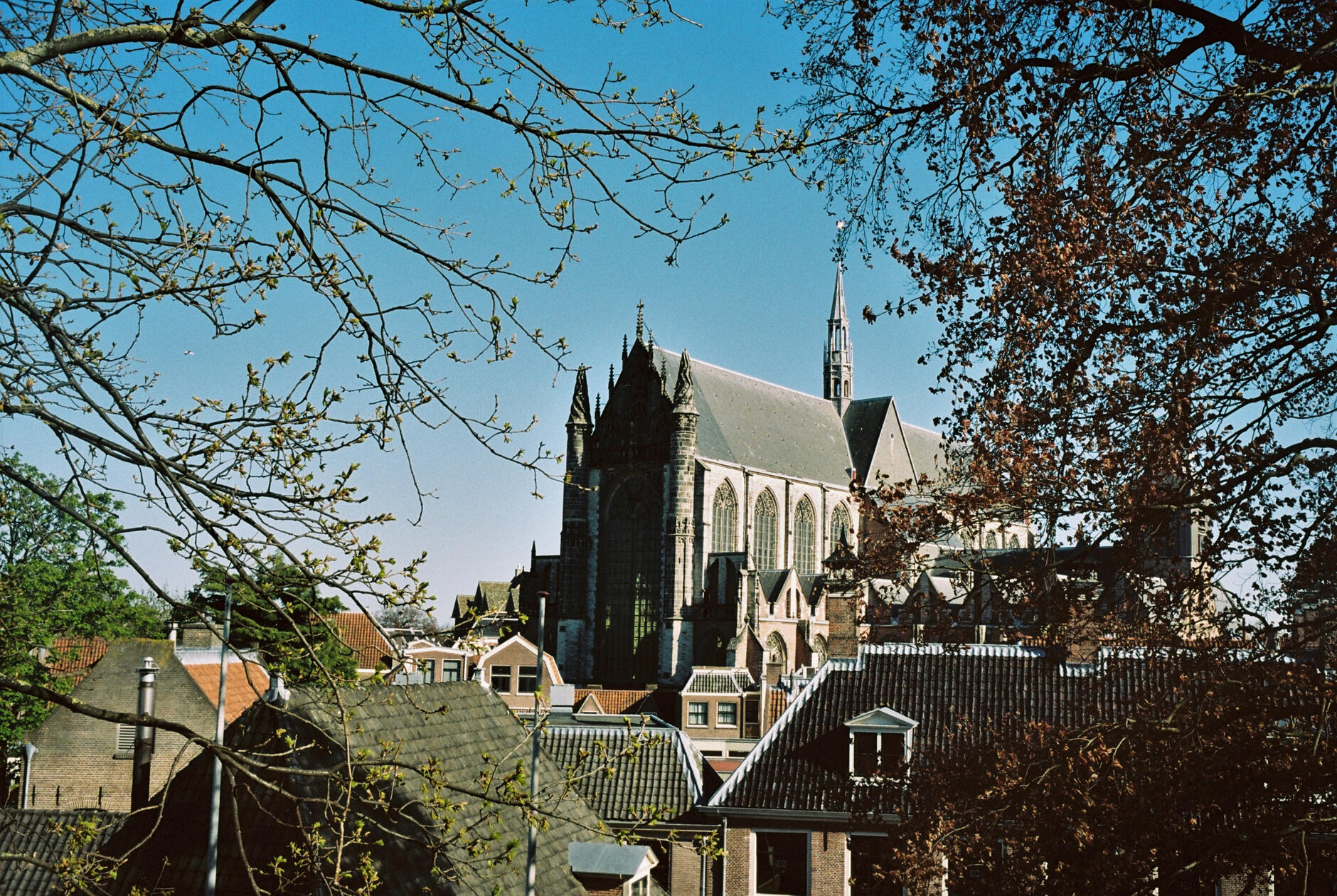 Leiden from the Burcht