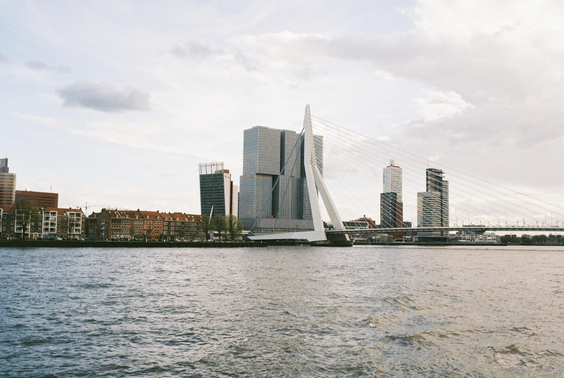 Rotterdam Erasmusbrug